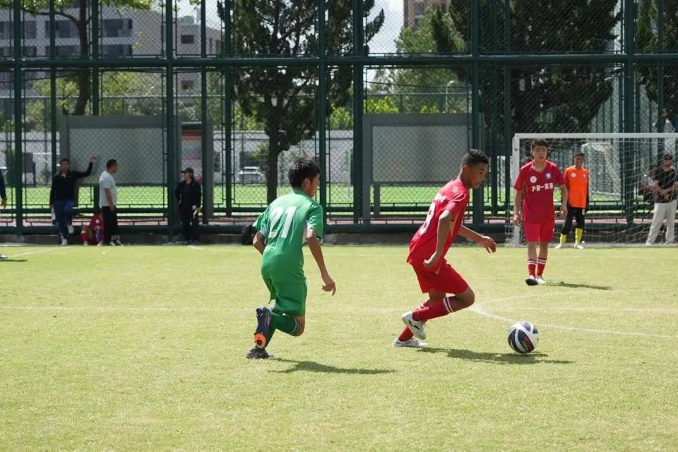 组织起有效 组织起有效