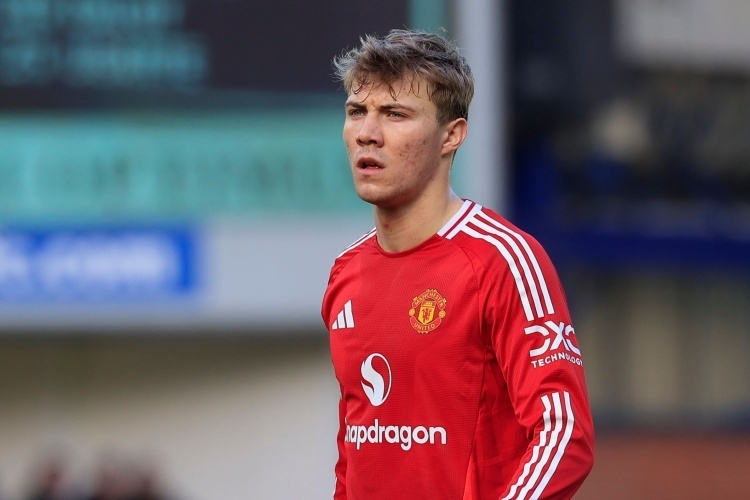 费已经和曼, 断选项 费已经和曼, 断选项