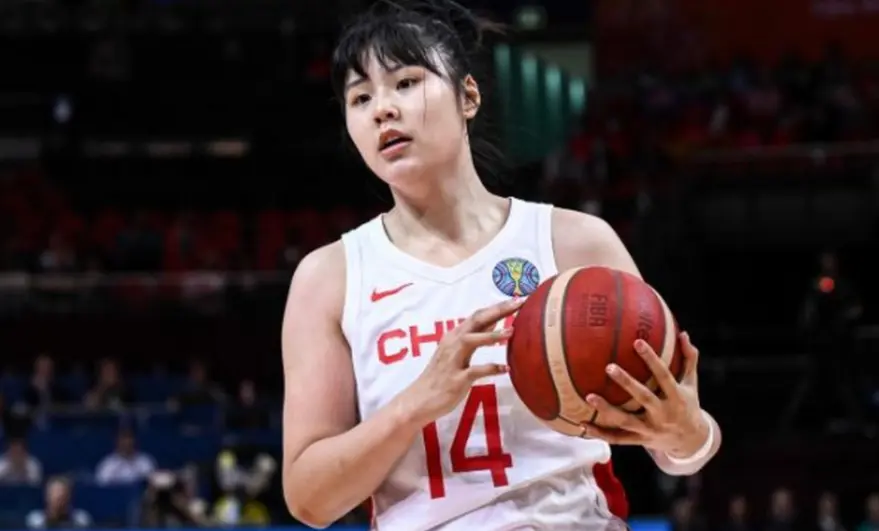 artic, 手出资 artic, 手出资