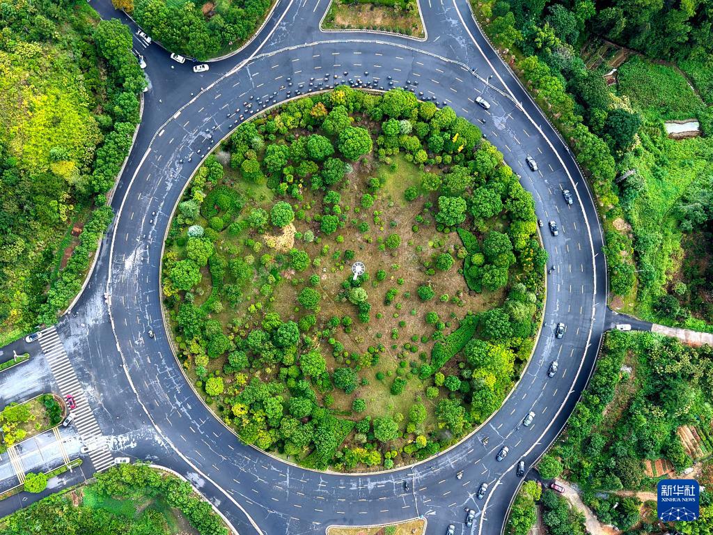 新华社发, 许南平